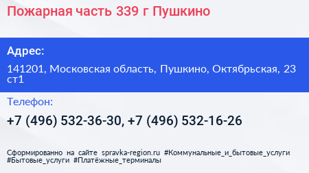 Пожарная часть 339 г Пушкино - визитка