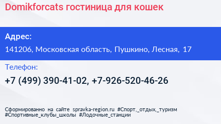 Domikforcats гостиница для кошек - визитка