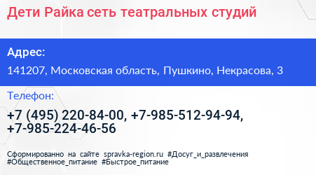 Дети Райка сеть театральных студий - визитка
