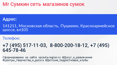 Mr Сумкин сеть магазинов сумок - визитка