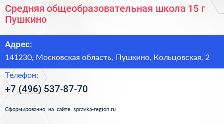 Средняя общеобразовательная школа 15 г Пушкино - визитка