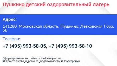 Пушкино детский оздоровительный лагерь - визитка