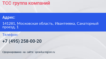 ТСС группа компаний - визитка