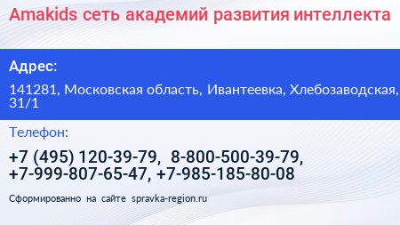Amakids сеть академий развития интеллекта - визитка