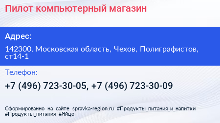 Пилот компьютерный магазин - визитка