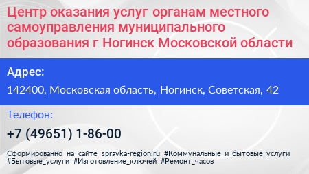 Центр оказания услуг органам местного самоуправления муниципального образования г Ногинск Московской области - визитка