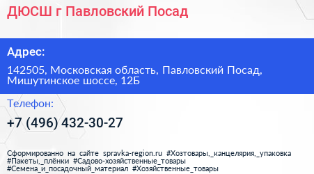 ДЮСШ г Павловский Посад - визитка