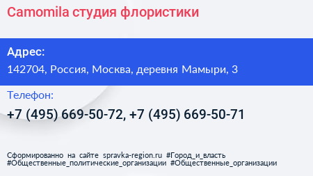 Camomila студия флористики - визитка