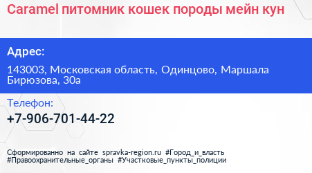 Caramel питомник кошек породы мейн кун - визитка