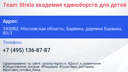 Team Strela академия единоборств для детей - визитка