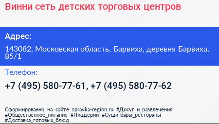 Винни сеть детских торговых центров - визитка
