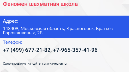 Феномен шахматная школа - визитка