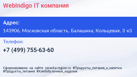 WebIndigo IT компания - визитка
