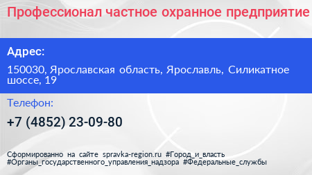 Профессионал частное охранное предприятие - визитка