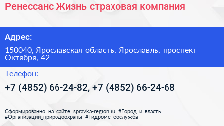 Ренессанс Жизнь страховая компания - визитка