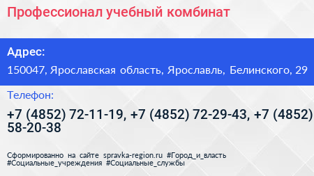 Профессионал учебный комбинат - визитка