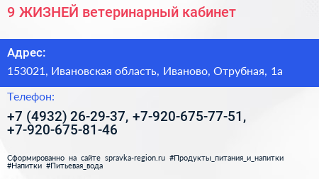 9 ЖИЗНЕЙ ветеринарный кабинет - визитка