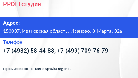PROFI студия - визитка