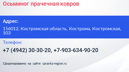 Осьминог прачечная ковров - визитка