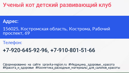 Ученый кот детский развивающий клуб - визитка