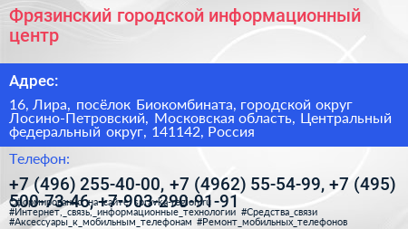 Фрязинский городской информационный центр - визитка