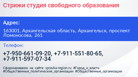 Стрижи студия свободного образования - визитка
