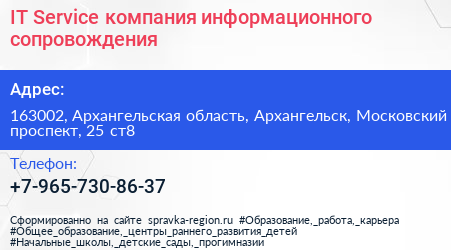 IT Service компания информационного сопровождения - визитка