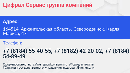 Цифрал Сервис группа компаний - визитка