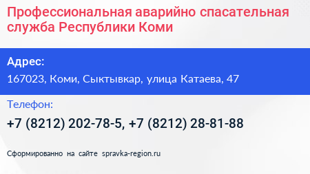 Профессиональная аварийно спасательная служба Республики Коми - визитка