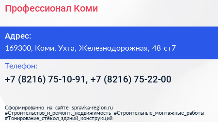 Профессионал Коми - визитка