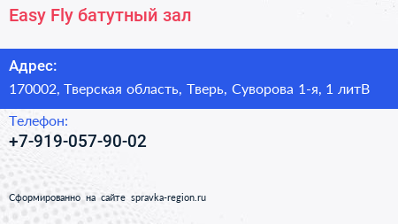 Easy Fly батутный зал - визитка