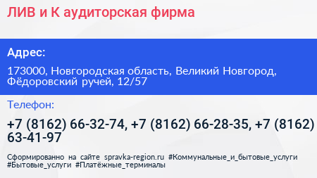 ЛИВ и К аудиторская фирма - визитка