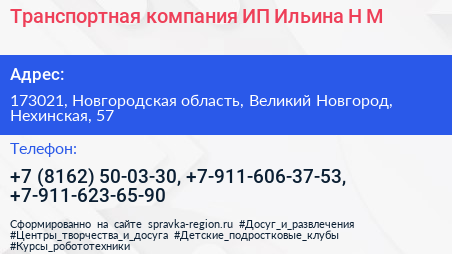 Транспортная компания ИП Ильина Н М  - визитка