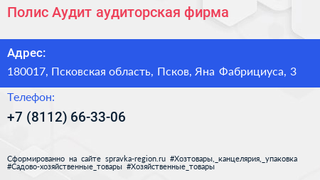 Полис Аудит аудиторская фирма - визитка