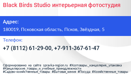 Black Birds Studio интерьерная фотостудия - визитка