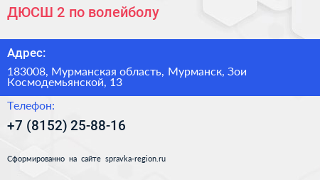 ДЮСШ 2 по волейболу - визитка