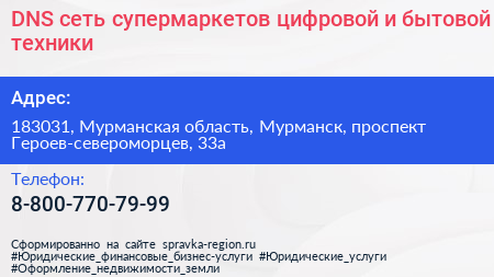 DNS сеть супермаркетов цифровой и бытовой техники - визитка