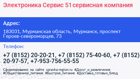 Электроника Сервис 51 сервисная компания - визитка
