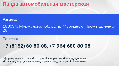 Панда автомобильная мастерская - визитка