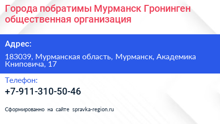 Города побратимы Мурманск Гронинген общественная организация - визитка