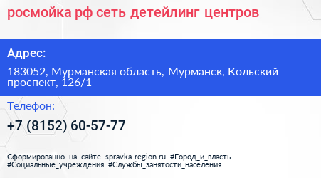 росмойка рф сеть детейлинг центров - визитка