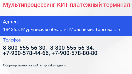 Мультипроцессинг КИТ платежный терминал - визитка