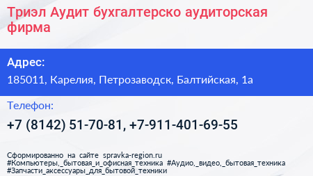 Триэл Аудит бухгалтерско аудиторская фирма - визитка