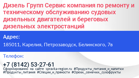 Дизель Групп Сервис компания по ремонту и техническому обслуживанию судовых дизельных двигателей и береговых дизельных электростанций - визитка