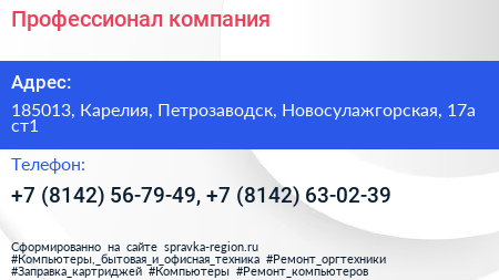 Профессионал компания - визитка