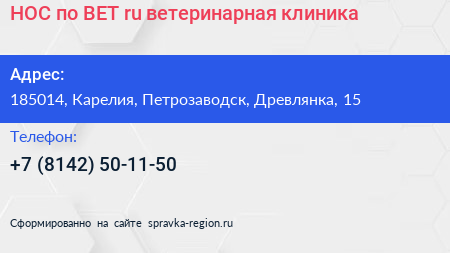 НОС по ВЕТ ru ветеринарная клиника - визитка
