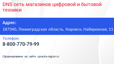 DNS сеть магазинов цифровой и бытовой техники - визитка