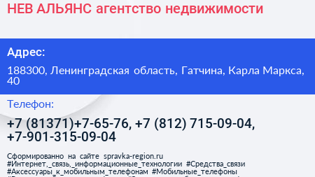 НЕВ АЛЬЯНС агентство недвижимости - визитка