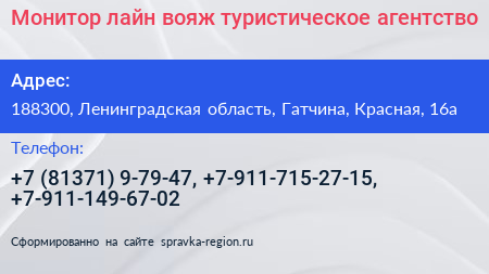 Монитор лайн вояж туристическое агентство - визитка