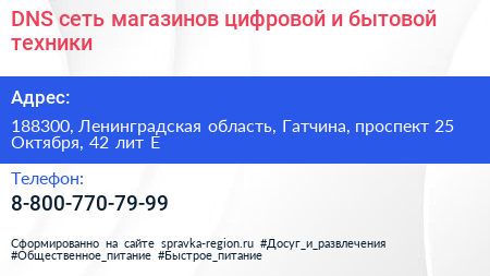 DNS сеть магазинов цифровой и бытовой техники - визитка